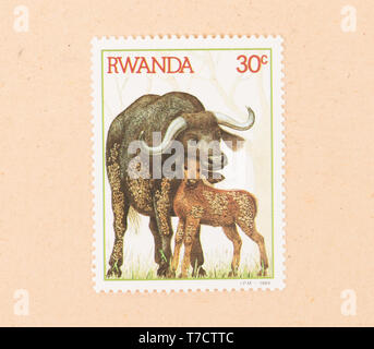 RWANDA - circa 1984 : timbre imprimé au Rwanda montre une waterbuffalo avec un jeune, vers 1984 Banque D'Images