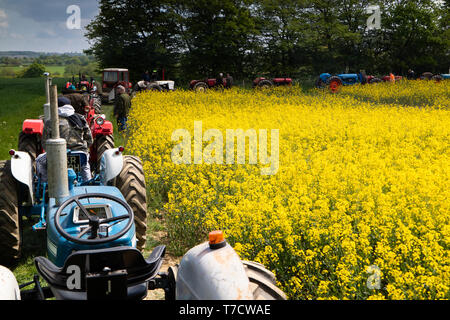 Vintage tourner le tracteur de Ightham Mote, National Trust, Kent, champ de colza jaune Banque D'Images