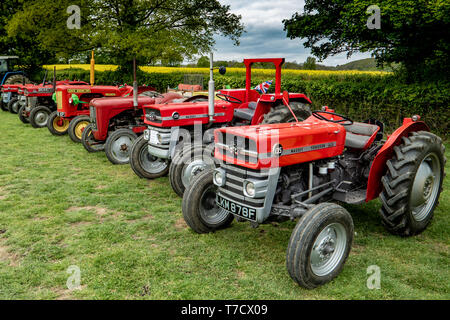 Vintage tourner le tracteur de Ightham Mote, National Trust, Kent, MF 135, Massey Ferguson 35, Banque D'Images