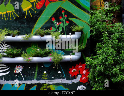 Jolie idée pour faire joli cadre de vie, les pots de fleurs de conduites d'eau sur le mur avec la peinture de couleur vert, fond mur font joli chemin Banque D'Images