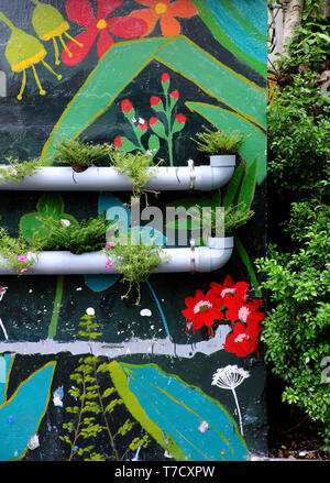 Jolie idée pour faire joli cadre de vie, les pots de fleurs de conduites d'eau sur le mur avec la peinture de couleur vert, fond mur font joli chemin Banque D'Images