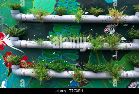 Jolie idée pour faire joli cadre de vie, les pots de fleurs de conduites d'eau sur le mur avec la peinture de couleur vert, fond mur font joli chemin Banque D'Images