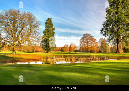 Au début de l'automne matins à l'Rushmore Park Golf Club, Wiltshire, Royaume-Uni. Banque D'Images