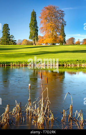 Scène d'automne au Rushmore Park Golf Club, Wiltshire, UK Banque D'Images