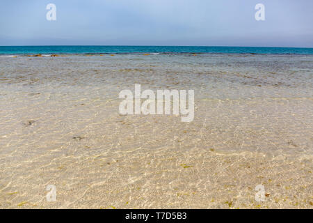 Plage de station de Desert Islands, Abu Dhabi, Emirats Arabes Unis Banque D'Images