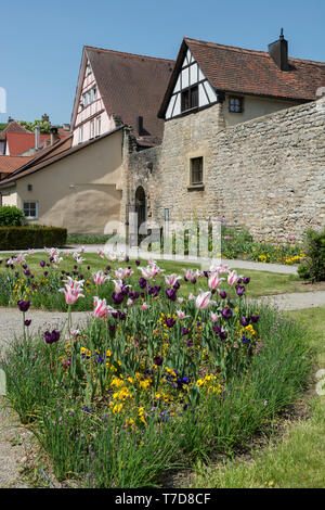 Jardin du château, Château de weikersheim, weikersheim, vallée de la Tauber, tauber-Franconie, main-Tauber, région Hohenlohe, Heilbronn-Franconia, Allemagne Banque D'Images