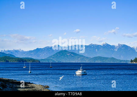 Les bateaux ancrés dans le port, Gibsons Landing, Sunshine Coast, British Columbia, Canada Banque D'Images