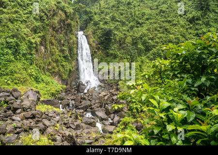 Wasserfall im Trafalgar Falls Parc national de Morne Trois Pitons, Dominique, Afrika, Mittelamerika | Trafalgar Falls Cascade, Morne Trois Pitons na Banque D'Images