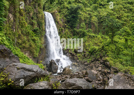 Wasserfall im Trafalgar Falls Parc national de Morne Trois Pitons, Dominique, Afrika, Mittelamerika | Trafalgar Falls Cascade, Morne Trois Pitons na Banque D'Images