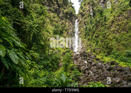 Wasserfall im Trafalgar Falls Parc national de Morne Trois Pitons, Dominique, Afrika, Mittelamerika | Trafalgar Falls Cascade, Morne Trois Pitons na Banque D'Images