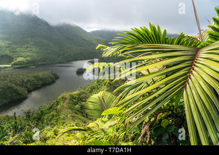 Voir der im d'eau douce du parc national de Morne Trois Pitons, Dominique, Afrika, Mittelamerika | Lac d'eau douce, parc national du Morne Trois Pitons, D Banque D'Images