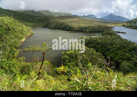 Voir der im d'eau douce du parc national de Morne Trois Pitons, Dominique, Afrika, Mittelamerika | Lac d'eau douce, parc national du Morne Trois Pitons, D Banque D'Images