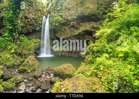 Emerald Pool und Wasserfall im Parc national de Morne Trois Pitons, Dominique, Afrika, Mittelamerika | Emerald et cascade, Morne Trois Pitons Banque D'Images