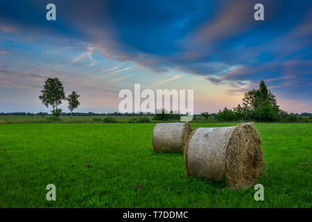 Deux balles de foin rondes couché sur un pré vert, d'horizon et les nuages colorés - Nowiny, Lubelskie, Pologne Banque D'Images