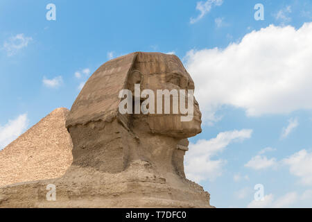 Close-up d'un célèbre Sphinx égyptien en Egypte Banque D'Images