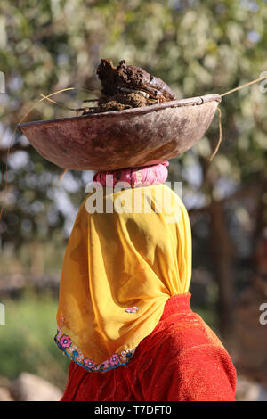 Woman balancing des cow-dung sur la tête à l'exécution pour le séchage et l'a utilisé pour faire du feu Banque D'Images