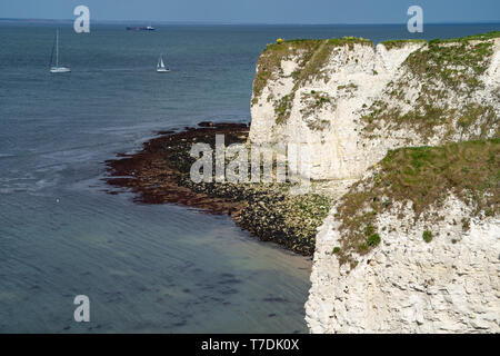 Old Harry Rocks. Formations craie y compris une pile et d'un moignon en. Handfast Point sur l'île de Purbeck, Dorset, UK.t Banque D'Images