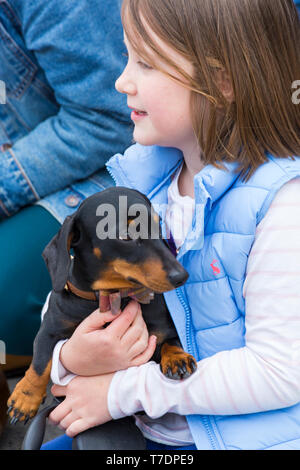 , Boscombe Bournemouth, Dorset, UK. 6e mai 2019. Dash teckel, partie de Bournemouth Arts Émergents (Fringe Festival BEAF) invite les teckels et leurs propriétaires pour rassembler sous le Daschund artwork pour voir combien ils peuvent se rassembler en un seul endroit. Credit : Carolyn Jenkins/Alamy Live News Banque D'Images