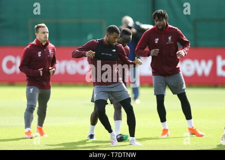 Liverpool, Royaume-Uni. 06 mai, 2019. Georginio Wijnaldum de Liverpool (centre) en action. Ligue des Champions, la formation de l'équipe du Liverpool FC, Liverpool FC à Melwood formation du sol à Liverpool le lundi 6 mai 2019. L'équipe de formation de demain sont avant le match contre Barcelone. Ce droit ne peut être utilisé qu'à des fins rédactionnelles. Editorial uniquement. Photos par Chris Stading/Andrew Orchard la photographie de sport/Alamy live news Crédit : Andrew Orchard la photographie de sport/Alamy Live News Banque D'Images