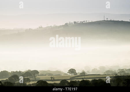 Vallée d'Aeron, Ceredigion, West Wales UK. Le mardi 07 mai 2019 UK Weather : brume matinale remplit la vallée d'Aeron, dans les régions rurales de l'ouest du pays de Galles, par un beau matin mai. Crédit photo : Keith Morris/Alamy Live News Banque D'Images