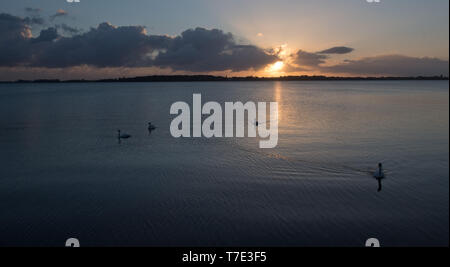 07 mai 2019, Mecklembourg-Poméranie-Occidentale, Lannilis : déplacer les nuages dans la lumière du soleil du matin debout sur le paysage à la Strelasund de l'île Rügen. Photo : Stefan Sauer/dpa-Zentralbild/dpa Banque D'Images