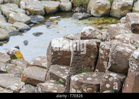 La Chaussée des Géants en Irlande, ce sont de grandes colonnes de basalte naturel. Banque D'Images