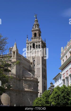 L'Espagne. L'Andalousie. Séville. La Tour Giralda, ancien minaret de la Grande Mosquée. Style almohade. 12e siècle. La Cathédrale de Séville. Banque D'Images