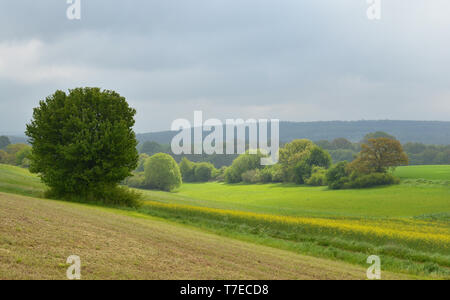 Paysage dans l'Eifel au printemps Banque D'Images