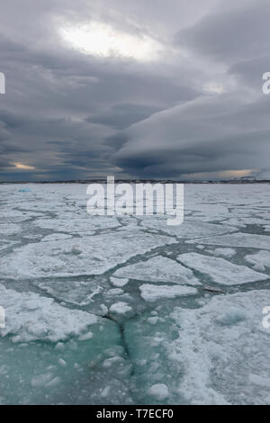 La banquise, Bjornsundet, île du Spitzberg, archipel du Svalbard, Norvège Banque D'Images