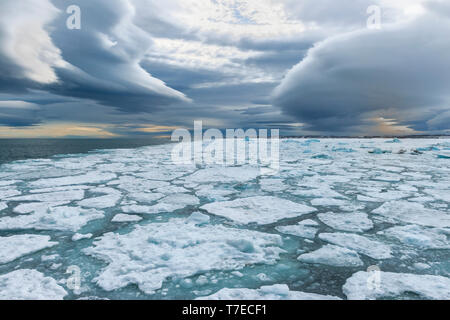 La banquise, Bjornsundet, île du Spitzberg, archipel du Svalbard, Norvège Banque D'Images