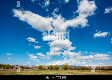 Beau ciel bleu avec des nuages ; enneigés des montagnes Rocheuses à l'horizon ; Vandaveer Ranch ; Salida, Colorado, USA Banque D'Images