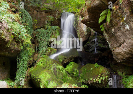 Lichtainhain Lichtenhainer Wasserfall, cascade, Kirnitzschtal, la Suisse Saxonne, des montagnes de grès de l'Elbe, Saxe, Allemagne, Europe Banque D'Images