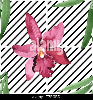Orchidées fleurs botanique de Marsala. Lame de ressort sauvages isolés de fleurs sauvages. Illustration à l'aquarelle. Aquarelle Dessin aquarelle de mode. B transparente Banque D'Images