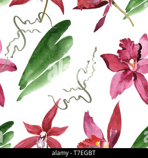 Orchidées fleurs botanique de Marsala. Lame de ressort sauvages isolés de fleurs sauvages. Illustration à l'aquarelle. Aquarelle Dessin aquarelle de mode. B transparente Banque D'Images