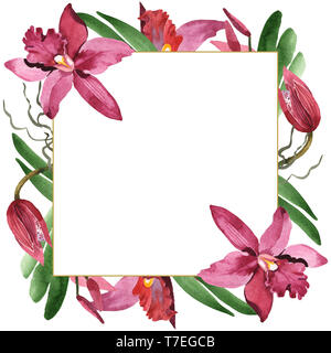 Floral fleurs orchidées botaniques de Marsala. Lame de ressort sauvages isolés de fleurs sauvages. Contexte aquarelle illustration set. Aquarelle Dessin fashion aqu Banque D'Images