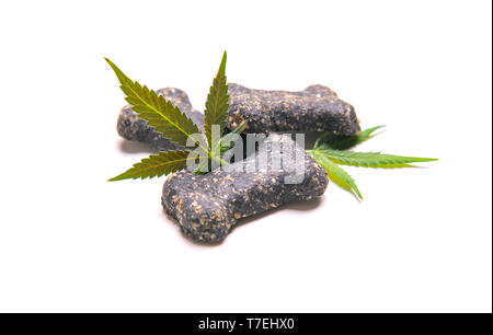 Friandises pour chiens et le cannabis feuilles isolées sur fond blanc - CBD et de la marijuana médicale pour animaux domestiques concept Banque D'Images