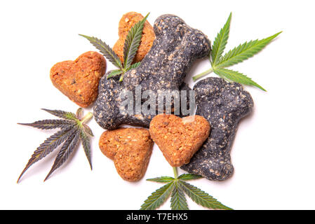 Friandises pour chiens et le cannabis feuilles isolées sur fond blanc - CBD et de la marijuana médicale pour animaux domestiques concept Banque D'Images