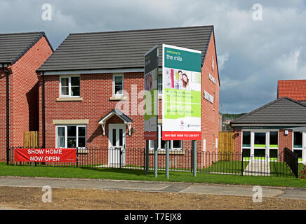 Maisons dans le Mile, un développement de nouveaux logements par Persimmon Homes, près de Pickering, East Yorkshire, England UK Banque D'Images