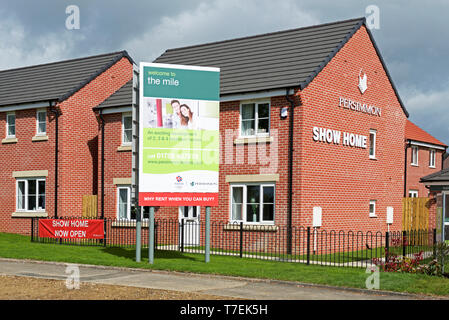 Maisons dans le Mile, un développement de nouveaux logements par Persimmon Homes près de Pickering, East Yorkshire, England UK Banque D'Images