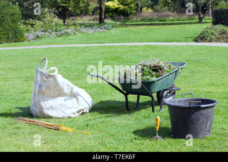 Travaux de jardinage dans un jardin d'été, vert brouette pleine de mauvaises herbes, détritus blanc sac, godet, bâtons, . Banque D'Images