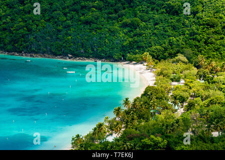 Magens Bay Beach, St Thomas, îles Vierges britanniques. Banque D'Images