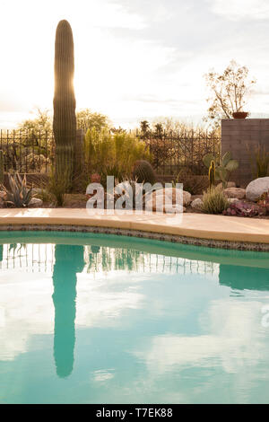 Piscine et jardin xeriscape tolérant la sécheresse avec cactus et plantes succulentes dans le sud-ouest du désert américain, Tucson, Arizona, United States Banque D'Images