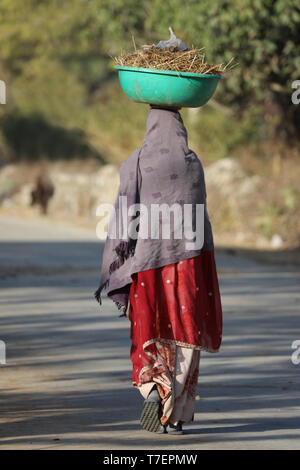 Woman balancing des cow-dung sur la tête à l'exécution pour le séchage et l'a utilisé pour faire du feu Banque D'Images