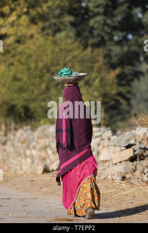 Woman balancing des cow-dung sur la tête à l'exécution pour le séchage et l'a utilisé pour faire du feu Banque D'Images