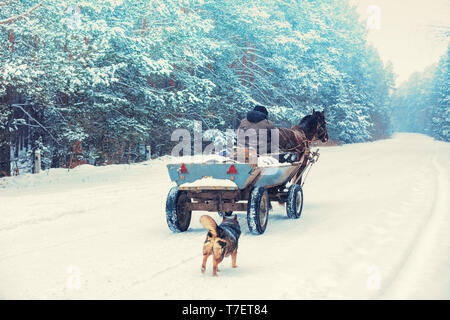 Un homme conduit une voiture à cheval (en russe un panier) le long d'une route enneigée en hiver. Le chien suit le panier Banque D'Images