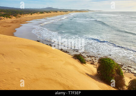 Beaux paysages de l'océan Atlantique, quelque part entre Agadir et Essaouira, Maroc Banque D'Images