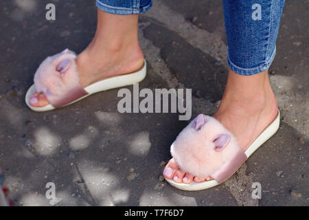 Belle Rose chaussons moelleux avec les oreilles sur l'asphalte Banque D'Images