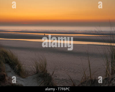 Les personnes à pied à une plage sans fin pendant le coucher du soleil spectaculaire vu de l'ammophile dunes couvertes Banque D'Images