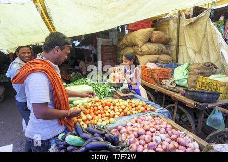 Jeune fille travaillant dans un marché local desservant le secteur des fruits et légumes d'un décrochage à Shahpura, Dindori, central de l'état indien de Madhya Pradesh Banque D'Images