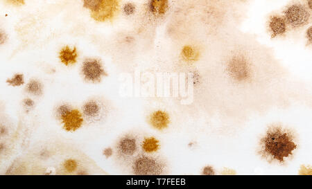 Résumé Contexte aquarelle brun. Les éclaboussures et les coups. Texture haute résolution. L'art moderne. dessin à la main. Éléments pour la création de brosses et textu Banque D'Images